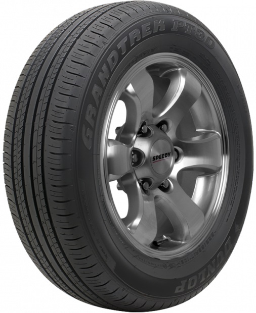 DUNLOP GRANDTREK PT30 225/60R18 100H Tyre
